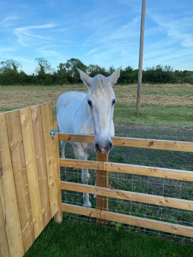 Mowbray Stable * Thirsk